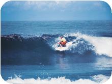 surf_T001