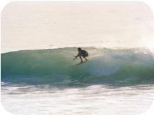 surf_T047